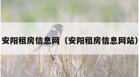 安阳租房信息网（安阳租房信息网站）