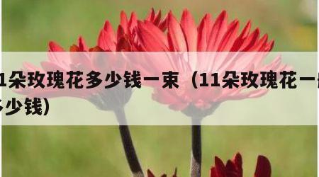 11朵玫瑰花多少钱一束（11朵玫瑰花一般多少钱）