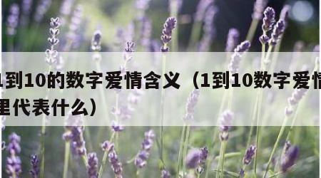 1到10的数字爱情含义（1到10数字爱情里代表什么）