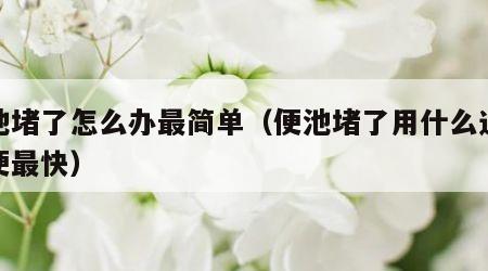 便池堵了怎么办最简单（便池堵了用什么通最方便最快）