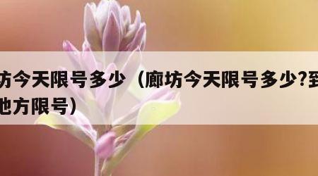 廊坊今天限号多少（廊坊今天限号多少?到什么地方限号）