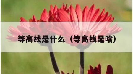 等高线是什么（等高线是啥）