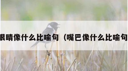 眼睛像什么比喻句（嘴巴像什么比喻句）