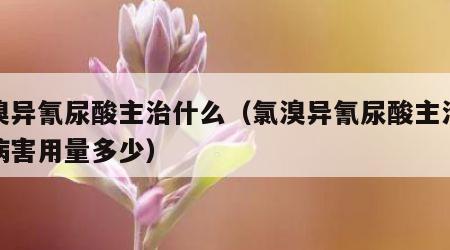 氯溴异氰尿酸主治什么（氯溴异氰尿酸主治什么病害用量多少）