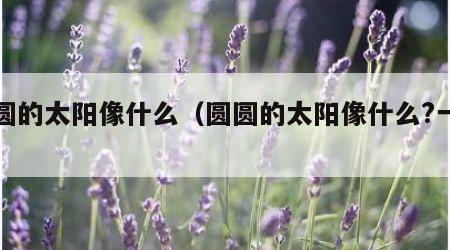 圆圆的太阳像什么（圆圆的太阳像什么?一年级）