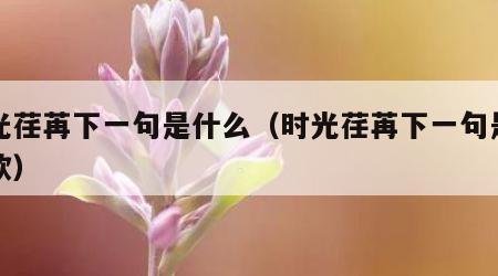 时光荏苒下一句是什么（时光荏苒下一句是什么歌）