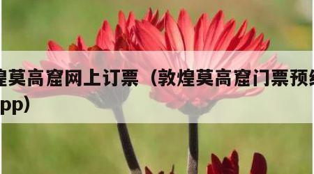 敦煌莫高窟网上订票（敦煌莫高窟门票预约官网app）