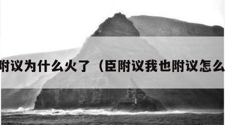 臣附议为什么火了（臣附议我也附议怎么接）