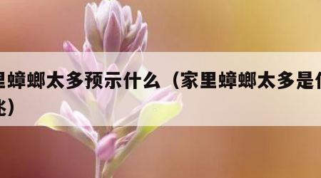 家里蟑螂太多预示什么（家里蟑螂太多是什么预兆）