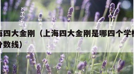 上海四大金刚（上海四大金刚是哪四个学校录取分数线）