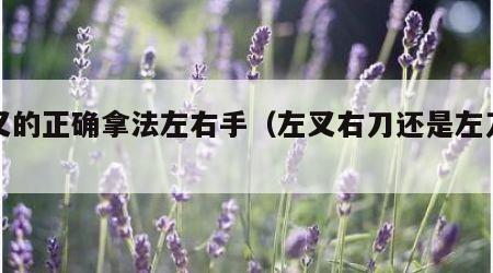 刀叉的正确拿法左右手（左叉右刀还是左刀右叉）