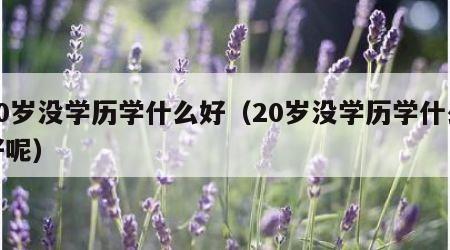 20岁没学历学什么好（20岁没学历学什么好呢）