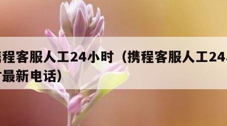 携程客服人工24小时（携程客服人工24小时最新电话）