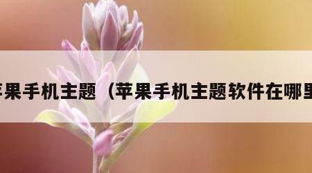 苹果手机主题（苹果手机主题软件在哪里）