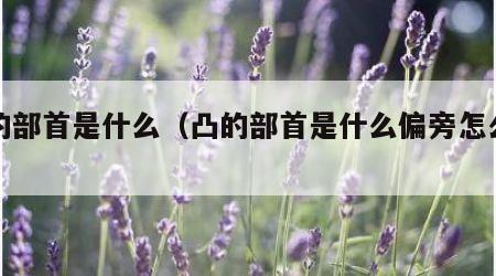 凸的部首是什么（凸的部首是什么偏旁怎么读）