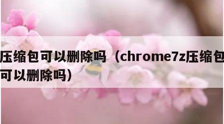 压缩包可以删除吗（chrome7z压缩包可以删除吗）