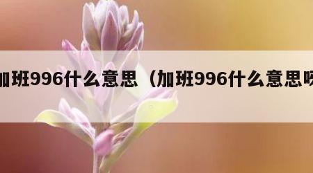 加班996什么意思（加班996什么意思呀）