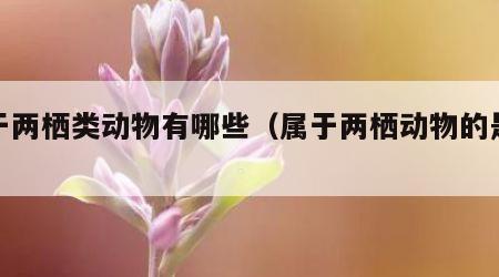 属于两栖类动物有哪些（属于两栖动物的是什么）