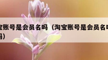 淘宝账号是会员名吗（淘宝账号是会员名吗安全吗）