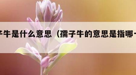 孺子牛是什么意思（孺子牛的意思是指哪一类人）