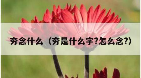 夯念什么（夯是什么字?怎么念?）