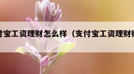 支付宝工资理财怎么样（支付宝工资理财赚钱吗）