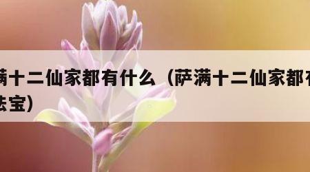 萨满十二仙家都有什么（萨满十二仙家都有什么法宝）