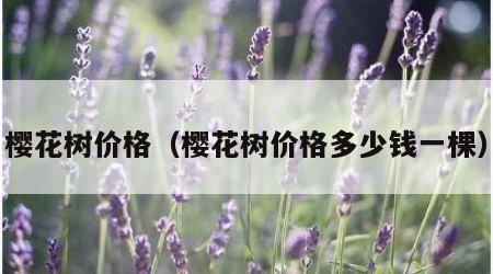 樱花树价格（樱花树价格多少钱一棵）