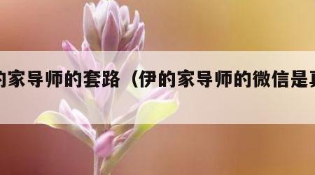 伊的家导师的套路（伊的家导师的微信是真是假）