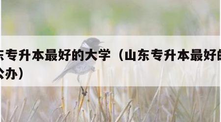 山东专升本最好的大学（山东专升本最好的大学公办）