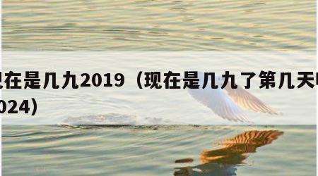 现在是几九2019（现在是几九了第几天呢2024）