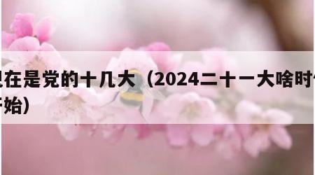 现在是党的十几大（2024二十一大啥时候开始）