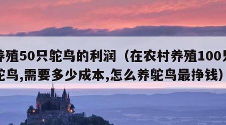 养殖50只鸵鸟的利润（在农村养殖100只鸵鸟,需要多少成本,怎么养鸵鸟最挣钱）