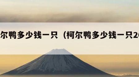 柯尔鸭多少钱一只（柯尔鸭多少钱一只2024）