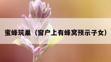 蜜蜂筑巢（窗户上有蜂窝预示子女）