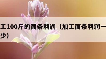 加工100斤的面条利润（加工面条利润一斤多少）