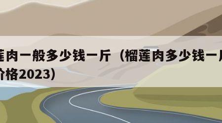 榴莲肉一般多少钱一斤（榴莲肉多少钱一斤正常价格2023）