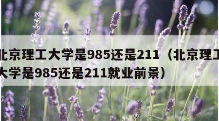 北京理工大学是985还是211（北京理工大学是985还是211就业前景）