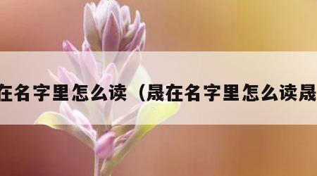 晟在名字里怎么读（晟在名字里怎么读晟睿）