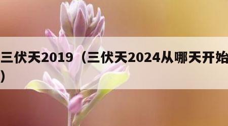 三伏天2019（三伏天2024从哪天开始）