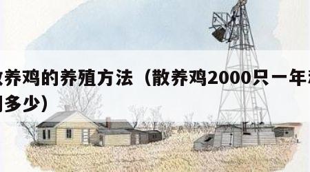 散养鸡的养殖方法（散养鸡2000只一年利润多少）