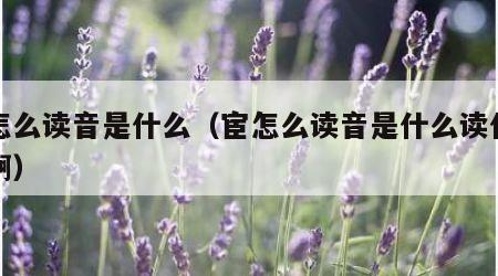 宦怎么读音是什么（宦怎么读音是什么读什么字啊）