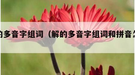 解的多音字组词（解的多音字组词和拼音怎么写）