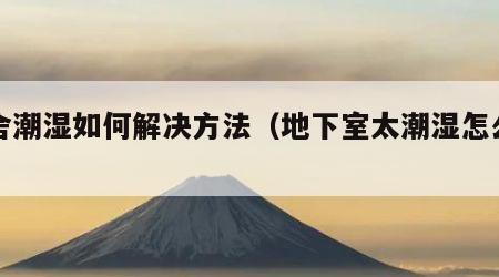 宿舍潮湿如何解决方法（地下室太潮湿怎么除湿）