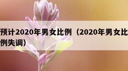 预计2020年男女比例（2020年男女比例失调）