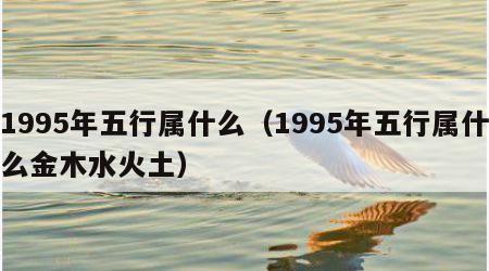 1995年五行属什么（1995年五行属什么金木水火土）