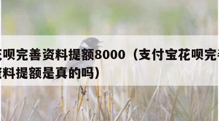 花呗完善资料提额8000（支付宝花呗完善资料提额是真的吗）