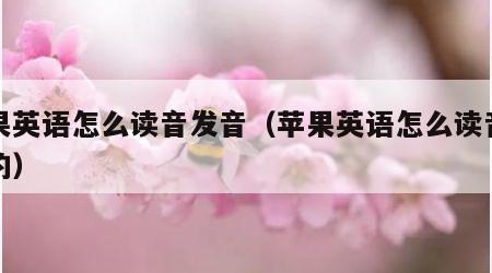 苹果英语怎么读音发音（苹果英语怎么读音发音的）