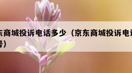 京东商城投诉电话多少（京东商城投诉电话多少号）