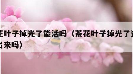 茶花叶子掉光了能活吗（茶花叶子掉光了还能长出来吗）